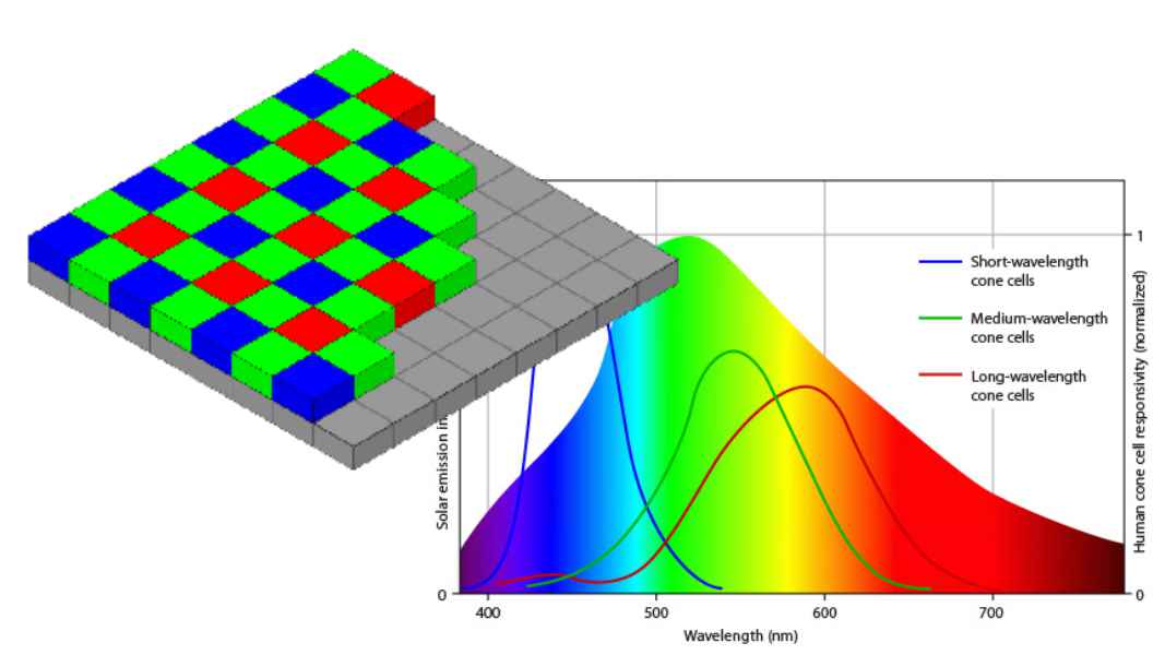 Byaer Filter and Human Perception